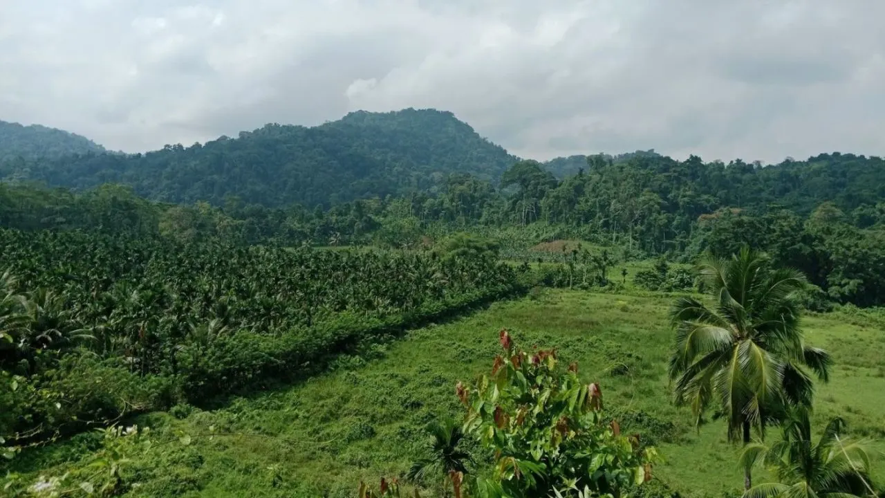 Great Nicobar Project: Development का मास्टरस्ट्रोक या Deforestation का खतरा? जानें Ground Reality